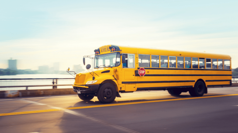 Bus